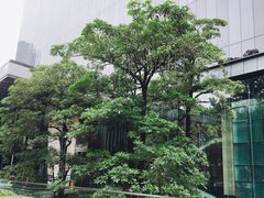 -广州天河希尔顿酒店