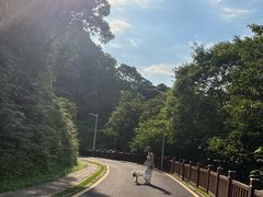 -黄埔油麻山森林公园