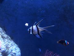 -成都浩海立方海洋公园