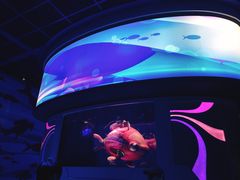 -海底巡游艇:尼莫和好友的海洋世界