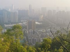 -板樟山森林公园