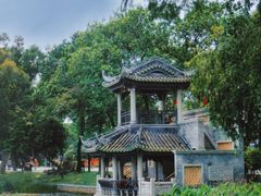 -荔湾湖公园