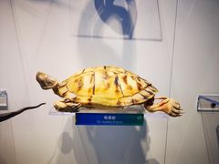 -生命奥秘博物馆
