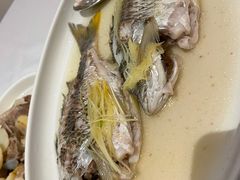 姜丝蒸黄脚立鱼-花城苑广府菜(侨鑫店)