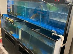 -状元楼(金溪路店)