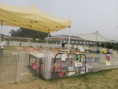 -长洲岛