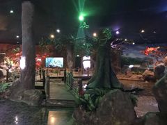 -富国岛珍珠游乐园