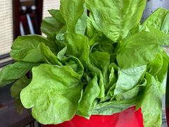 白苋菜-捞神煲汤火锅(湖滨商业街店)