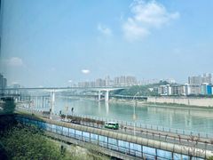 -李子坝梁山鸡(李子坝大鸡哥店)