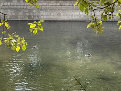 -海棠花溪(元大都城垣遗址公园)