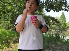 -长兴太湖图影湿地文化园