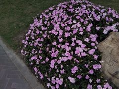 -中国京杭大运河博物馆