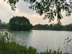 -沙家浜风景区