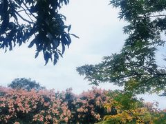 -南京市江宁方山