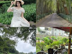 -香芙茗茶楼(梅家坞店)