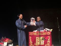 -合肥大剧院