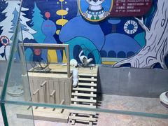 -海合安青岛极地海洋公园