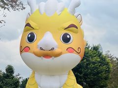 -香蜜公园