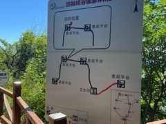 -大岭沟猕猴桃谷风景区