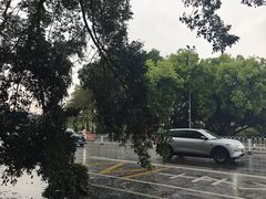 -玲又珑美食(盘福路店)