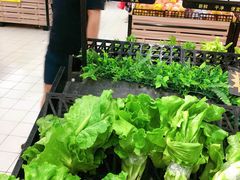 生菜-河马鲜生超市