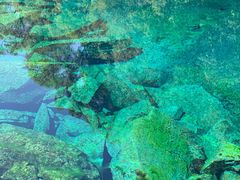 -叠溪松坪沟景区