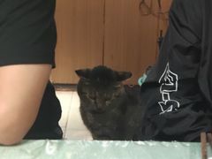 -洪齐林老镇