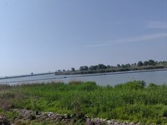 -合肥滨湖国家森林公园