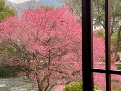 -中国茶叶博物馆(双峰馆区)