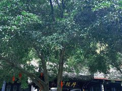 -白鹿洞书院