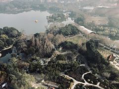 -上海新发展亚太JW万豪酒店