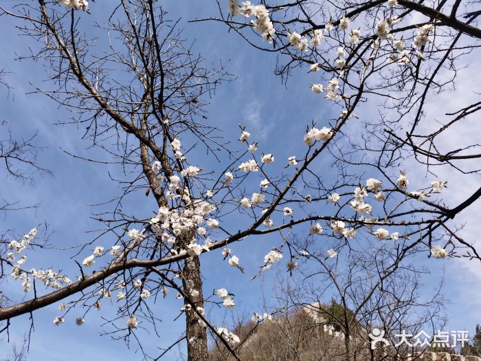 黄崖关长城图片