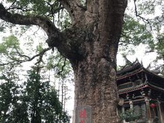 -安溪清水岩