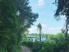 -铁山坪森林公园