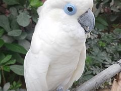 -南宫五洲植物乐园