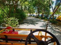 -上海吴淞炮台湾国家湿地公园
