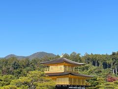 -豆政(金閣寺境内売店)