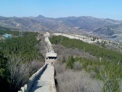 -原山国家森林公园