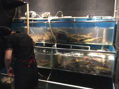 -老板恋上鱼(恒隆广场店)