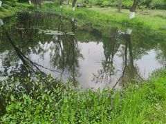 -杭州植物园