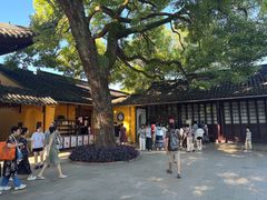 -西园寺素食(西园弄戒幢律寺店)
