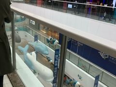 -上海颛桥万达广场
