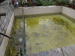 -钰田大院·碳烤虹鳟鱼·怀柔地道农家菜(雁栖湖店)