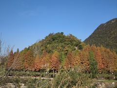 -贵阳市花溪国家城市湿地公园