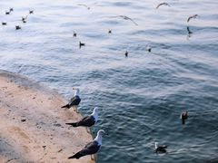 -大连海昌东方水城