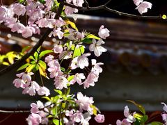 -北京市劳动人民文化宫(太庙)
