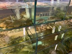 水产区-凯华海鲜火锅·传承三十六年