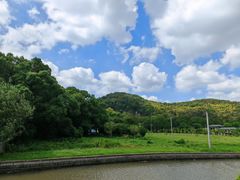 -上海佘山国家森林公园天马山园