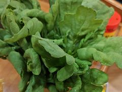-芦月轩羊蝎子(劲松店)
