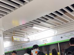 -洛阳周王城天子驾六博物馆